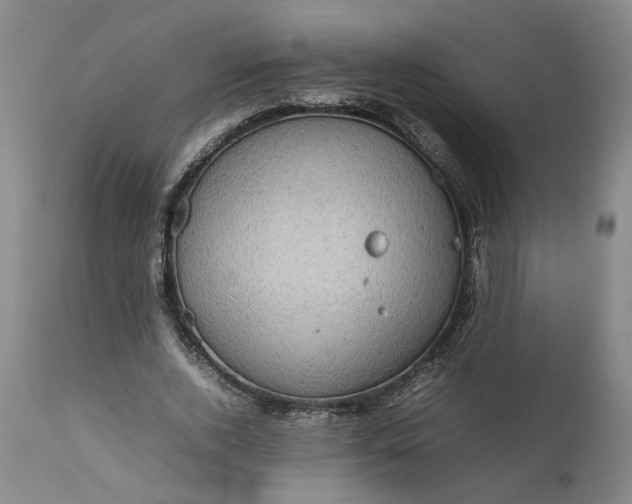 X0000111190728200907151349