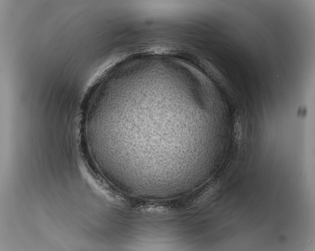 X0000111190730200907151349