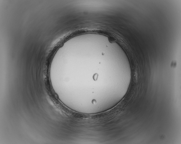 X0000111190732200907151349