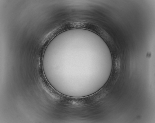 X0000111190733200907151349