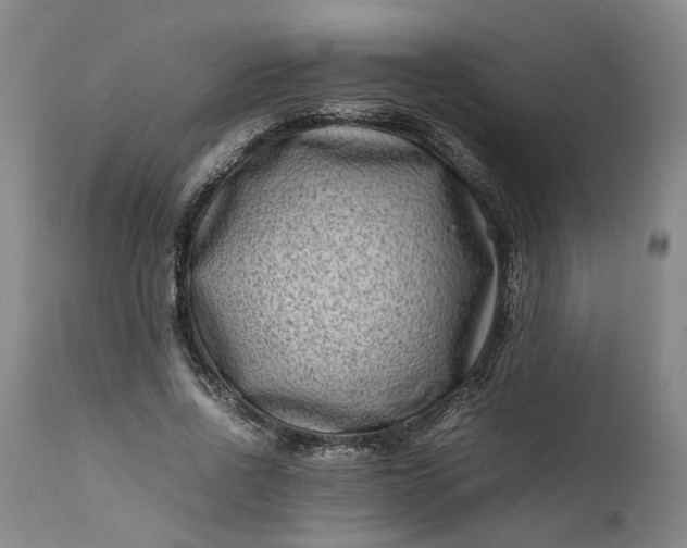 X0000111190734200907151349