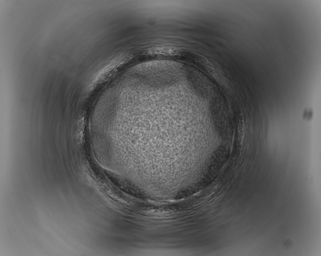 X0000111190735200907151349