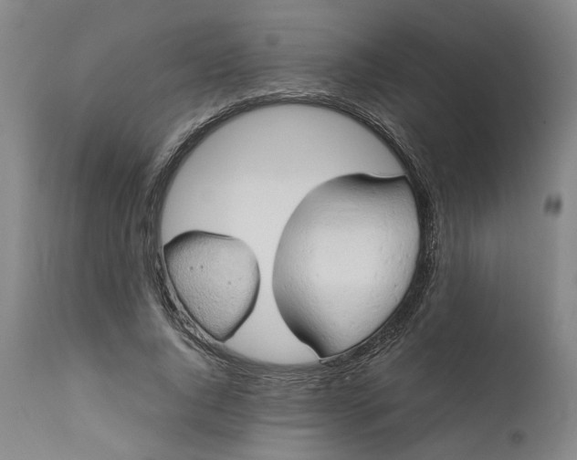 X0000111190736200907151349