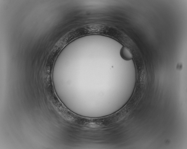 X0000111190737200907151349