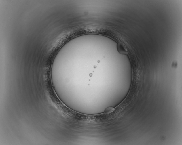 X0000111190738200907151349