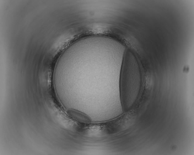 X0000111190740200907151349