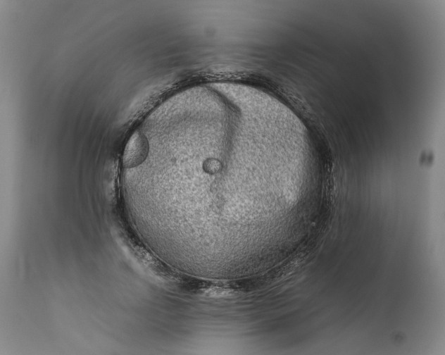 X0000111190742200907151349