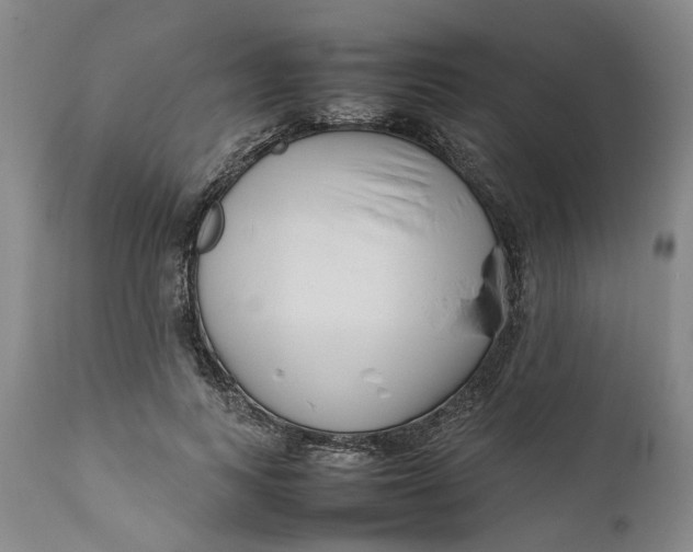 X0000111190743200907151349