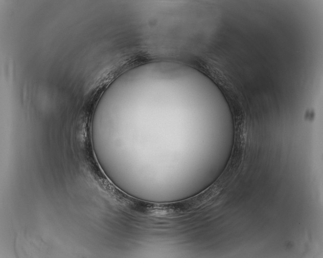 X0000111190746200907151349