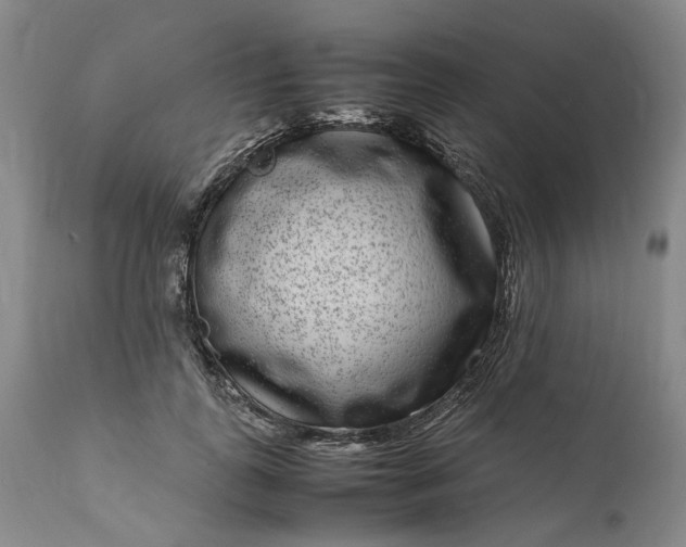 X0000111190747200907151349