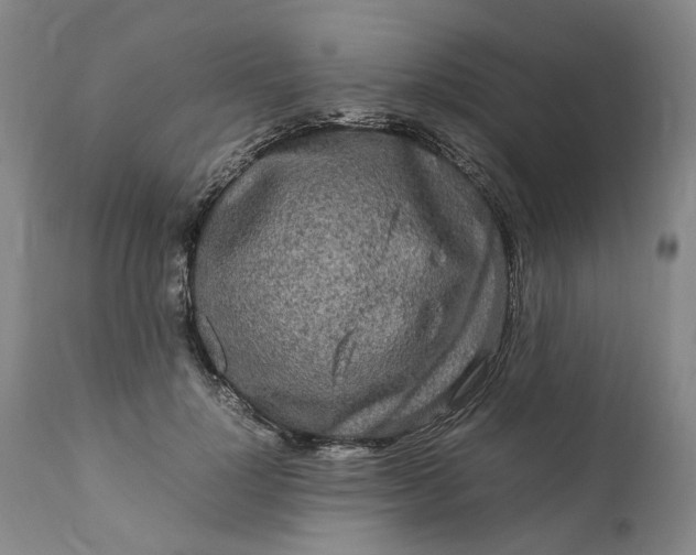 X0000111190748200907151349