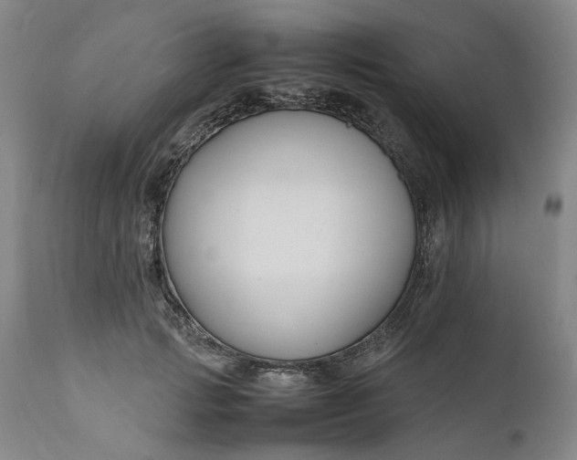 X0000111190749200907151349