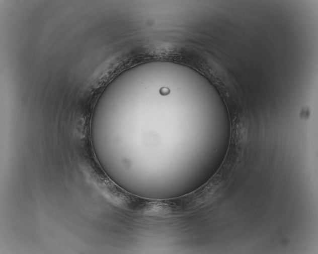 X0000111190750200907151349