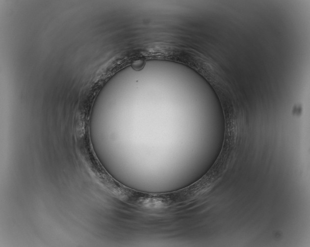 X0000111190751200907151349