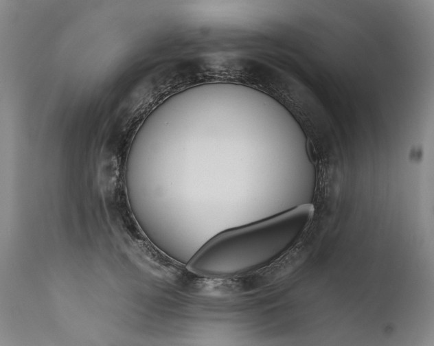 X0000111190752200907151349