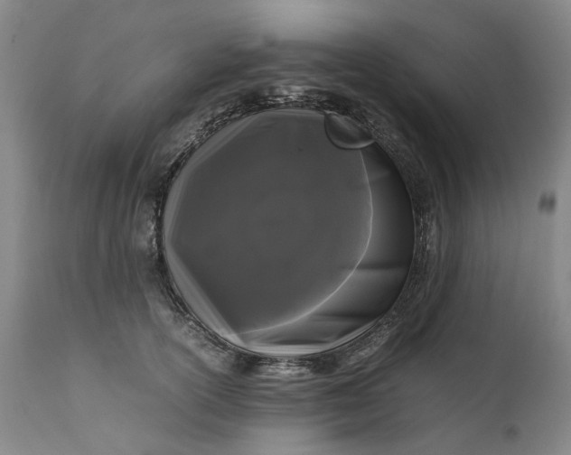 X0000111190754200907151349