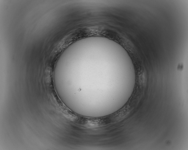 X0000111190757200907151349