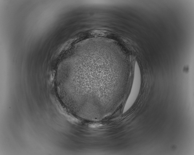 X0000111190759200907151349