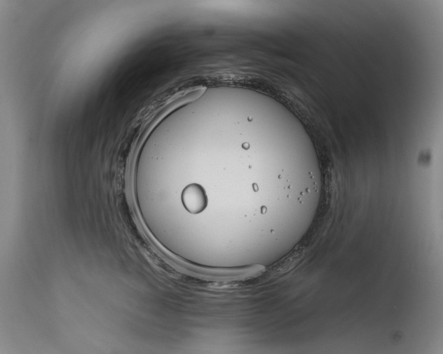 X0000111190760200907151349