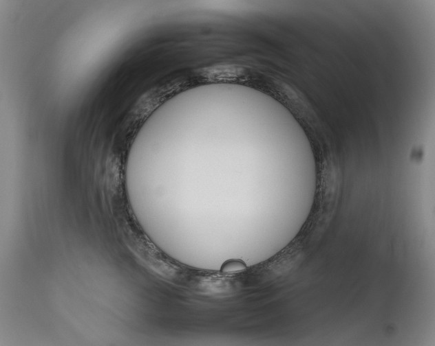 X0000111190761200907151349