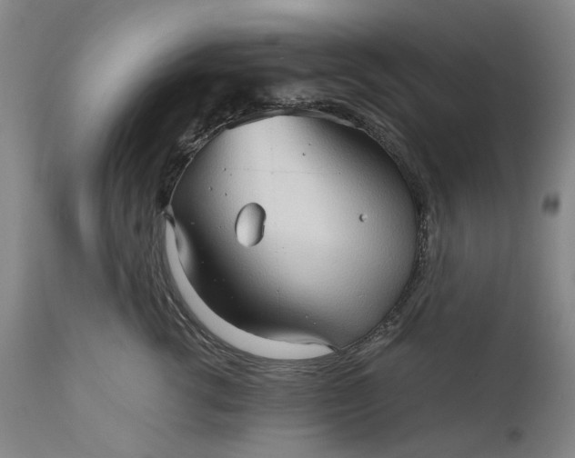 X0000111190762200907151349