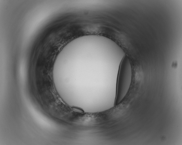 X0000111190764200907151349