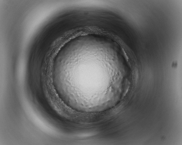 X0000111190765200907151349