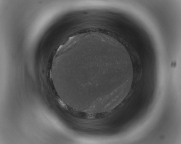 X0000111190766200907151349