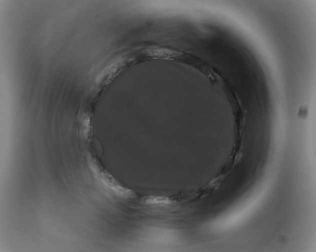 X0000111190767200907151349