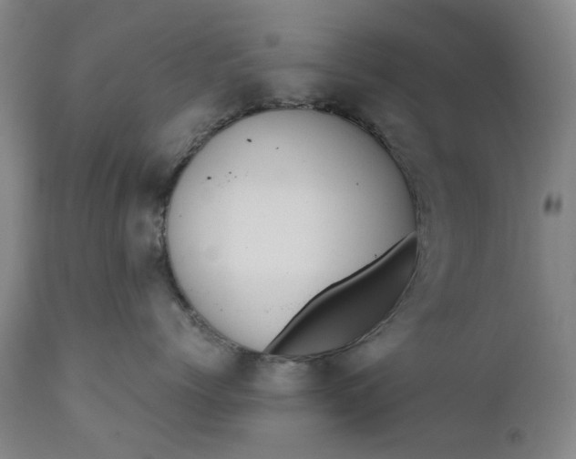 X0000111190768200907151349