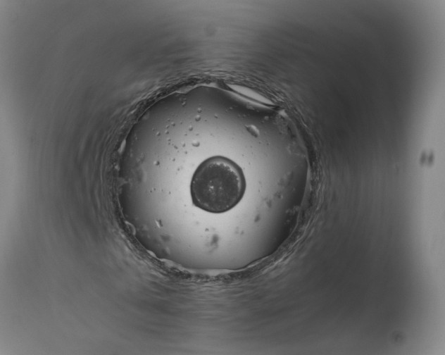 X0000111190769200907151348