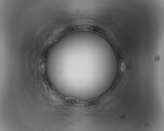 X0000111190771200907151348