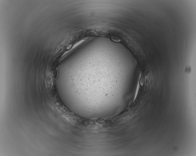 X0000111190772200907151348