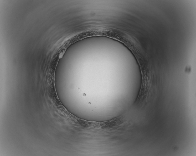 X0000111190773200907151348