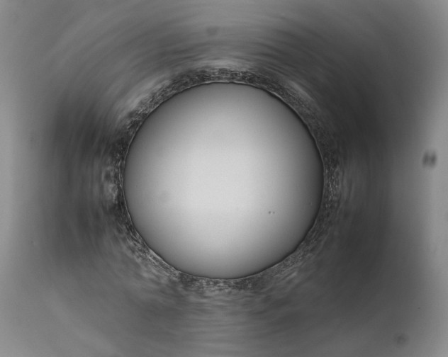 X0000111190774200907151348