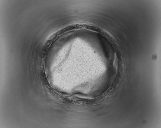 X0000111190775200907151348