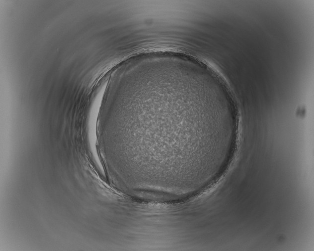 X0000111190777200907151348