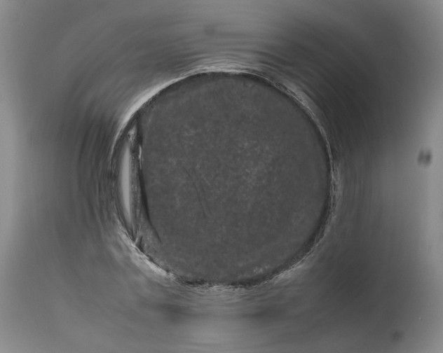 X0000111190779200907151348