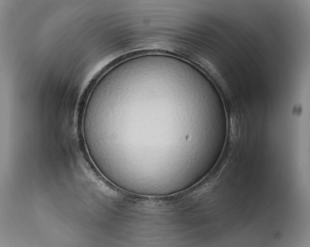 X0000111190780200907151348