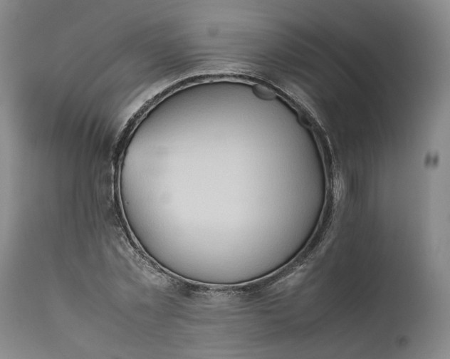 X0000111190781200907151348