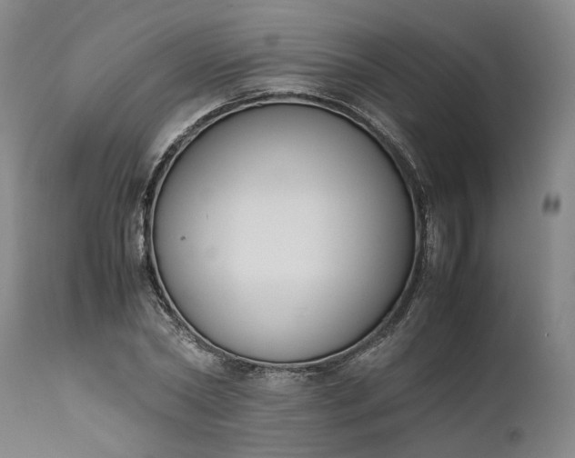 X0000111190782200907151348