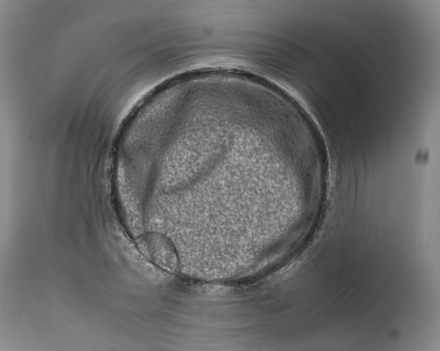 X0000111190783200907151348