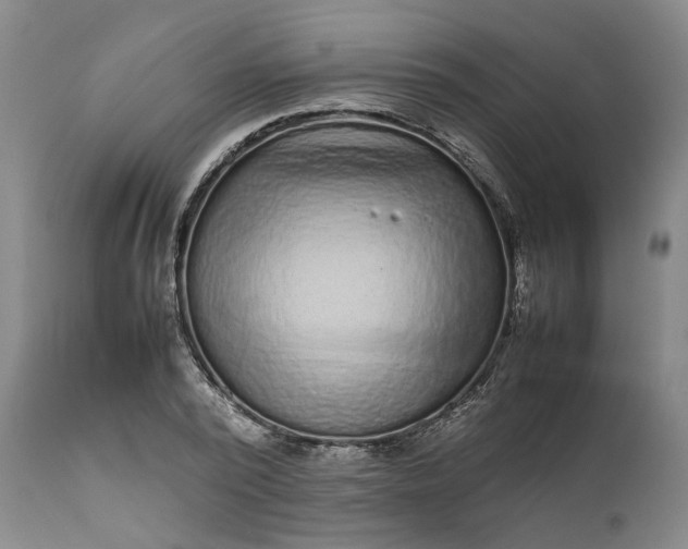 X0000111190784200907151348