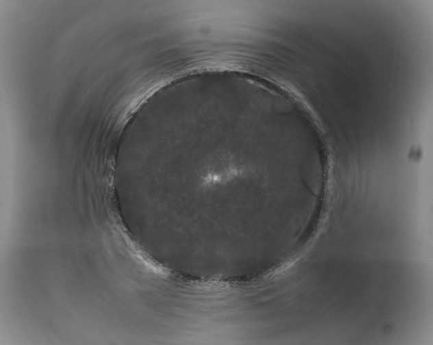 X0000111190785200907151348