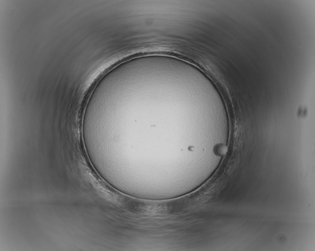 X0000111190789200907151348