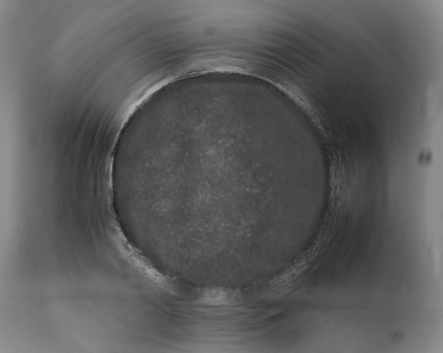 X0000111190790200907151348