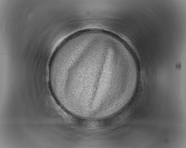 X0000111190791200907151348