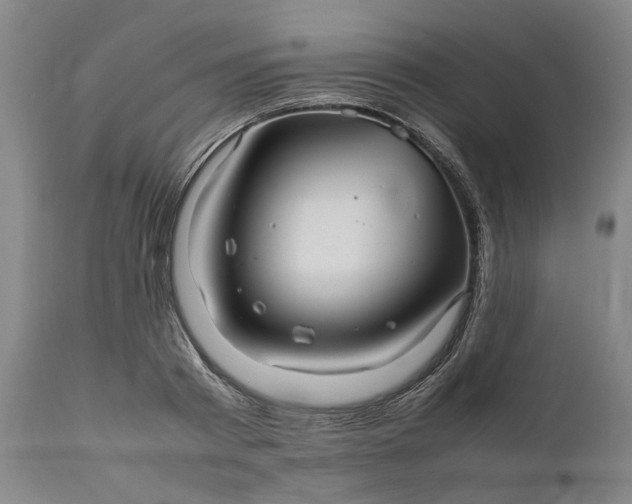 X0000111190793200907151348