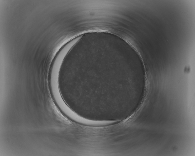 X0000111190797200907151348