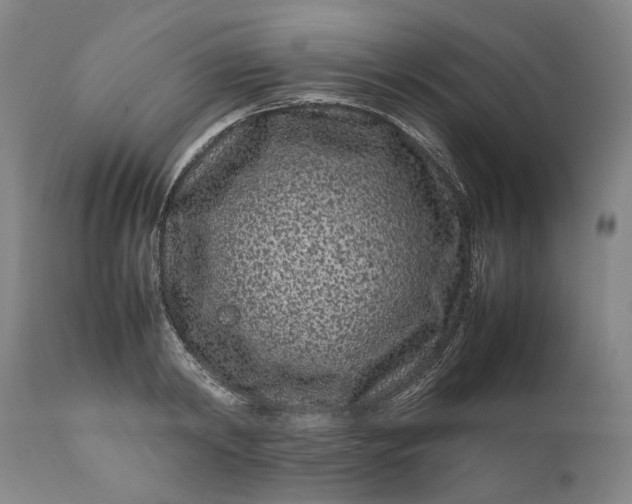 X0000111190798200907151348